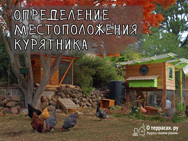 Строительство курятника из газобетона СПБ под ключ цены | iz-gazobetona.ru